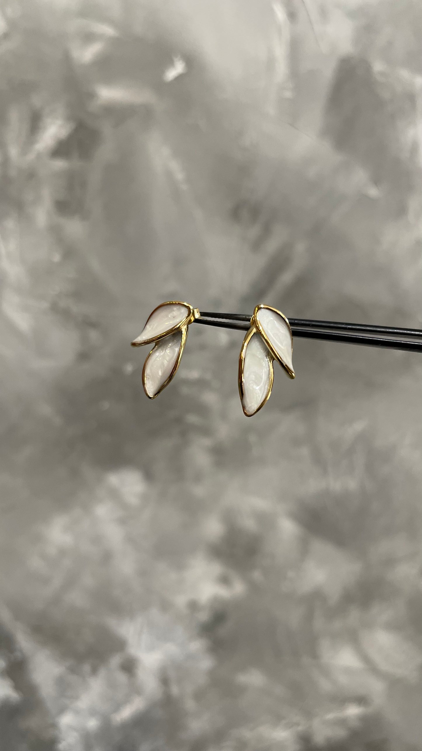 Enamel Leaf